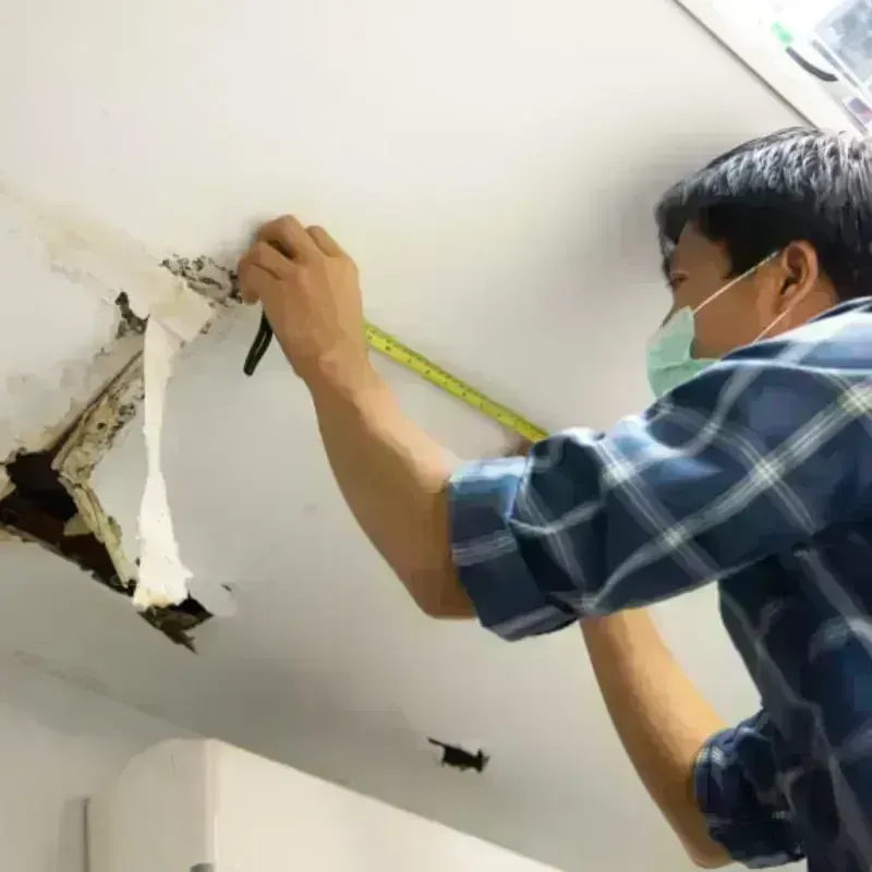 Ceiling And Wall Water Damage in Wibaux County, MT